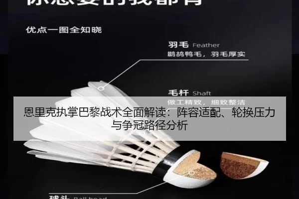 en-li-ke-zhi-zhang-ba-li-zhan-shu-quan-mian-jie-du-zhen-rong-shi-pei-lun-huan-ya-li-yu-zheng-guan-lu-jing-fen-xi-2-403.jpg