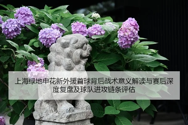 shang-hai-lv-di-shen-hua-xin-wai-yuan-shou-qiu-bei-hou-zhan-shu-yi-yi-jie-du-yu-sai-hou-shen-du-fu-pan-ji-qiu-dui-jin-2-298.jpg