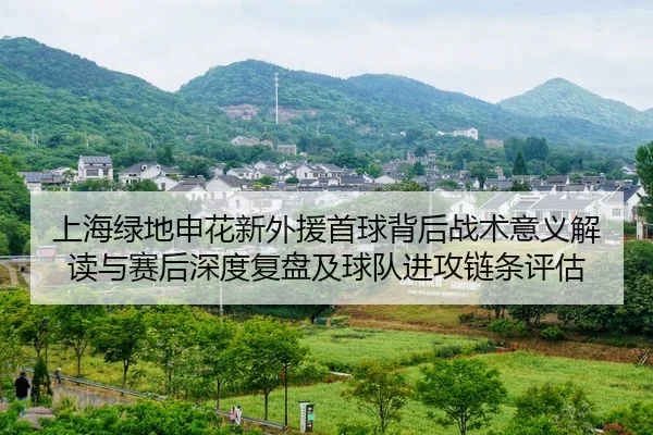 上海绿地申花新外援首球背后战术意义解读与赛后深度复盘及球队进攻链条评估